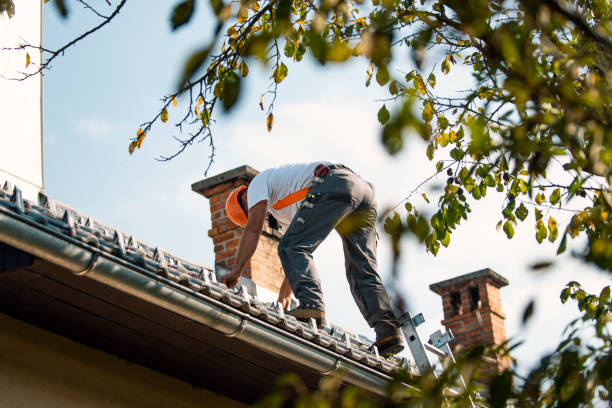 Best Shingle Roofing Installation  in Sandoval, IL