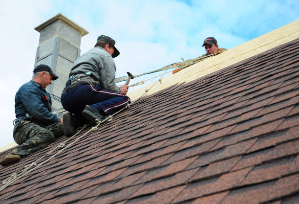 Best New Roof Installation  in Sandoval, IL